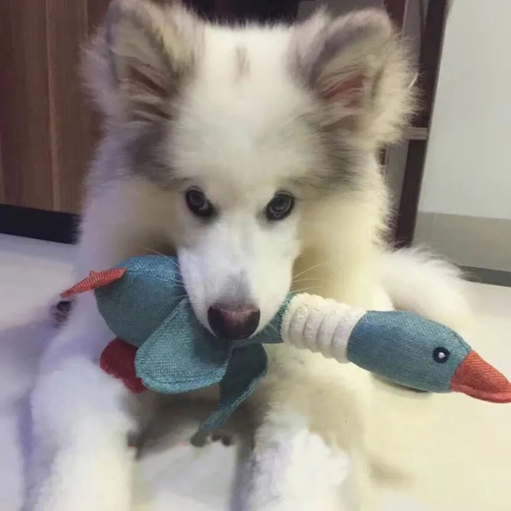 Pet Mallard Duck Dog Toy for Aggressive Chewers Dog Squeaky Wild Goose Puzzle Training Toys Cute Soft Dog Chew Toy with Squeaker